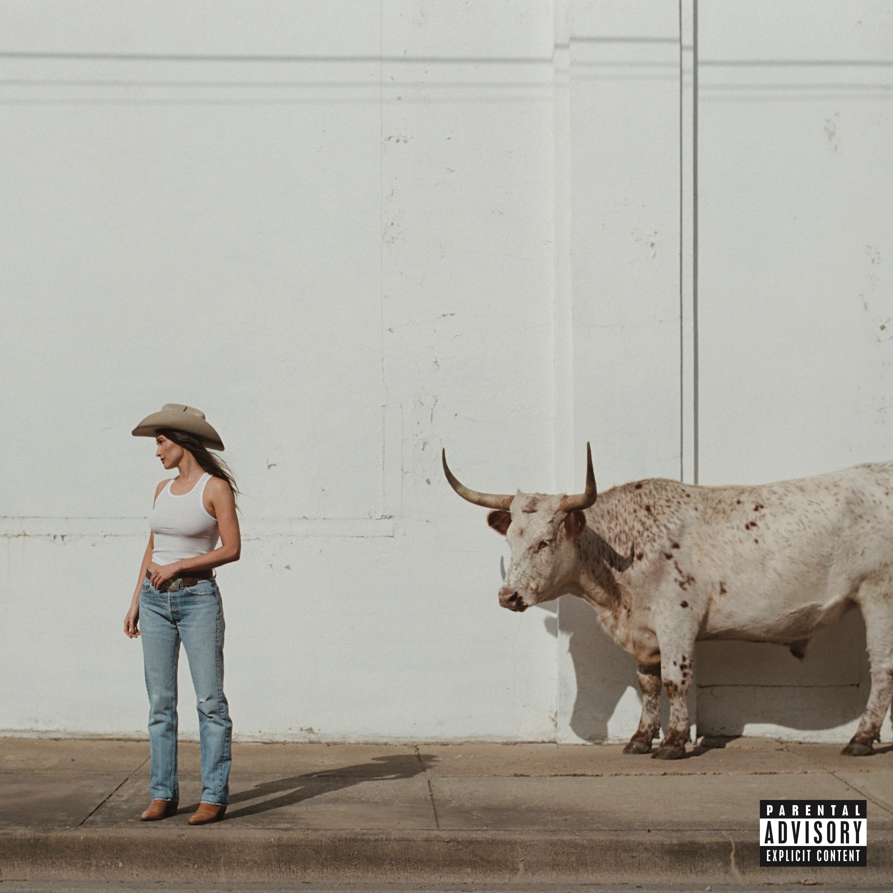 Middle Of Nowhere [Whiskey Vinyl] [Vinyl]