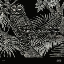 A Missing Myth Of The Future [Vinyl]