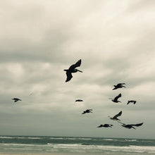 In A Moment - Music For Piano And Strings [CD]