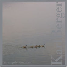 Strangely Familiar [CD]