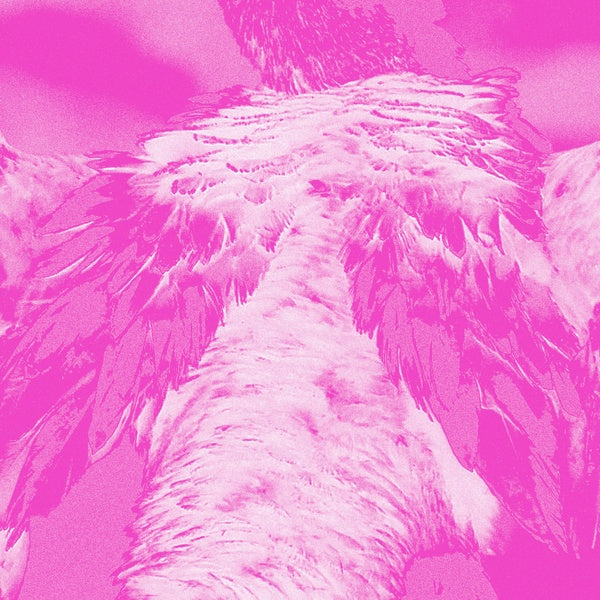 KATE CARR - A field guide to phantasmic birds [CD]