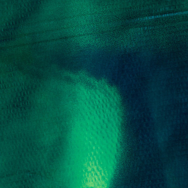 KATHARINA GROSSE & STEFAN SCHNEIDER - Tiergarten [Vinyl]