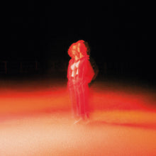 These Frightening Machines (Indie Exclusive Grey Marble Vinyl) [Vinyl]