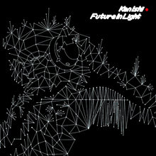 Future In Light [Vinyl]