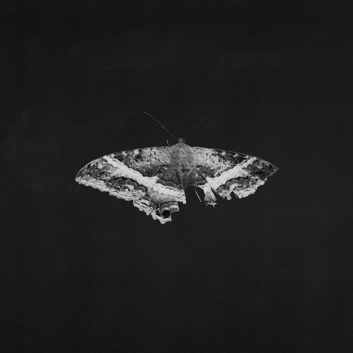 To Pimp A Butterfly (10 Year Anniversary Edition) - Alternate Artwork [180G 2 Lp] [Vinyl]