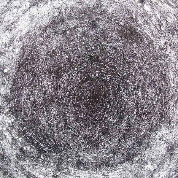 The Back Room [Vinyl]