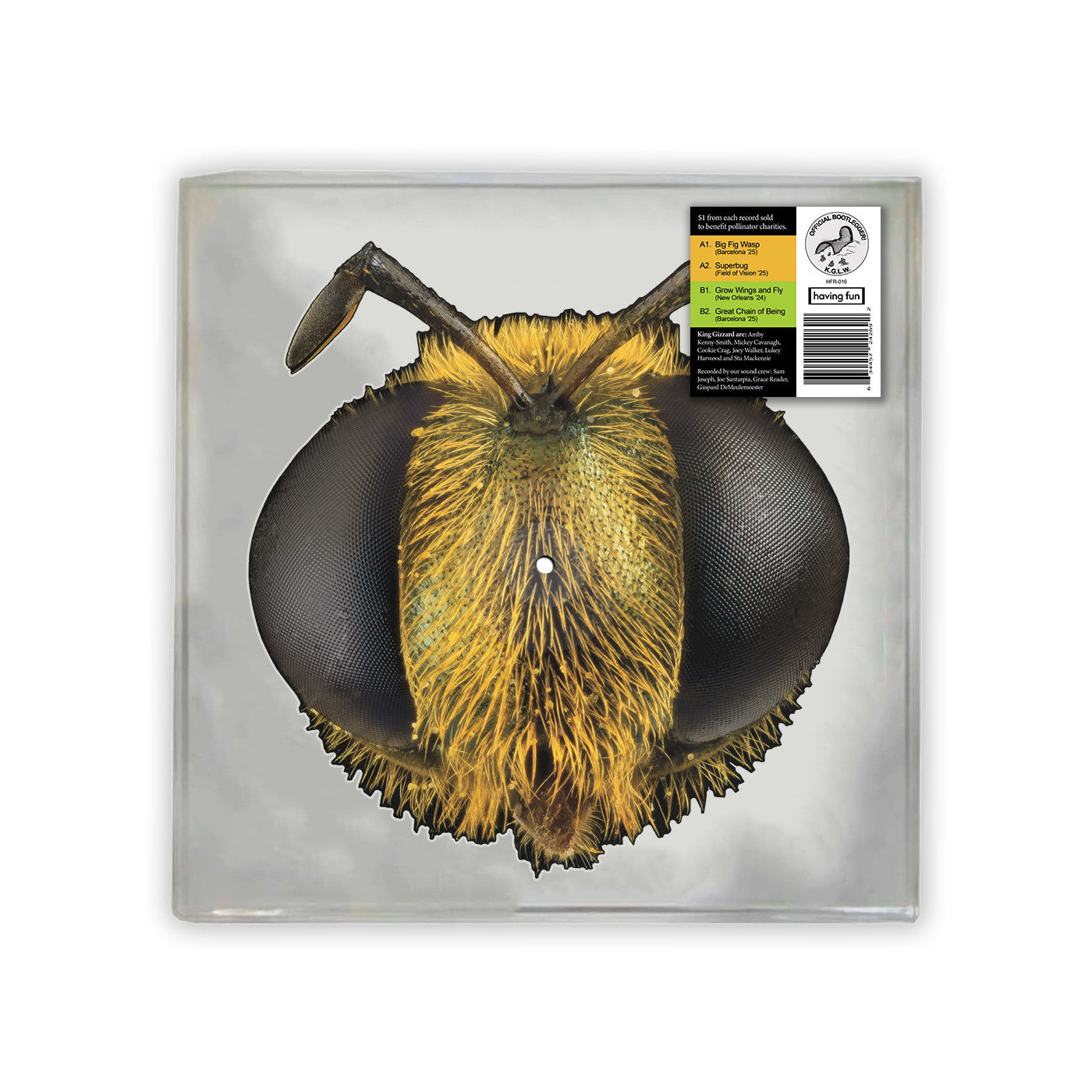 Big Fig Wasp (Bee/Bug Shaped Vinyl) [Vinyl]