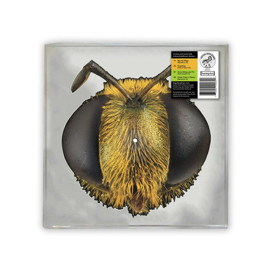Big Fig Wasp (Bee/Bug Shaped Vinyl) [Vinyl]