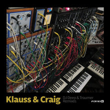 DJ Deep & Traumer Remixes [Vinyl]