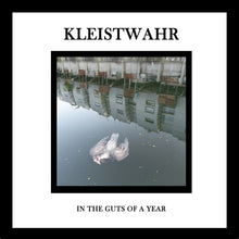 In the Guts of a Year [CD]