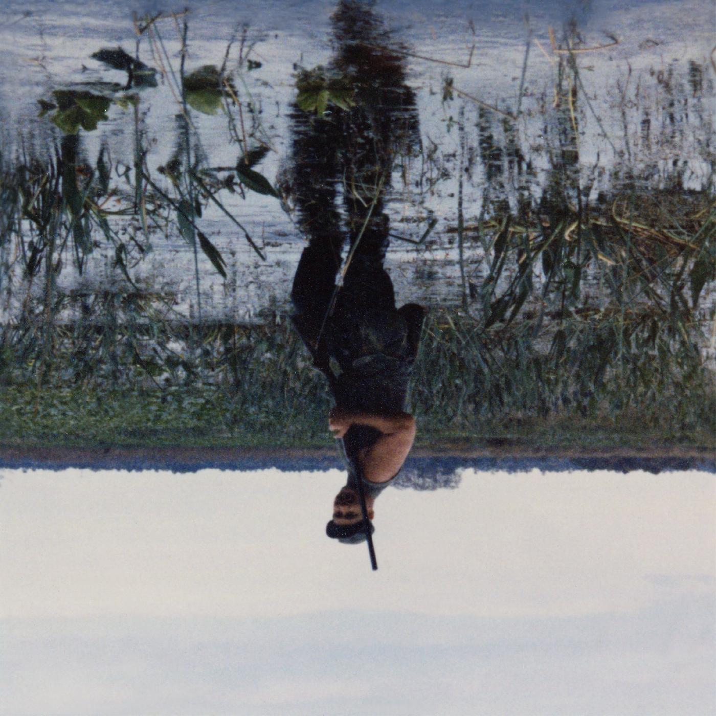 Animal Drowning (GRAY CASSETTE) - Paladin Vinyl