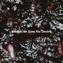 KOBOSIL - We Grow, You Decline [CD]