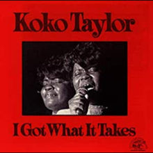 I Got What It Takes [CD]