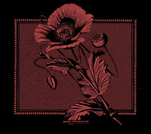 KOLLAPS - Until The Day I Die [CD]