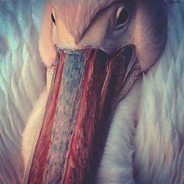 KONNTINENT - The Empire Line [CD]