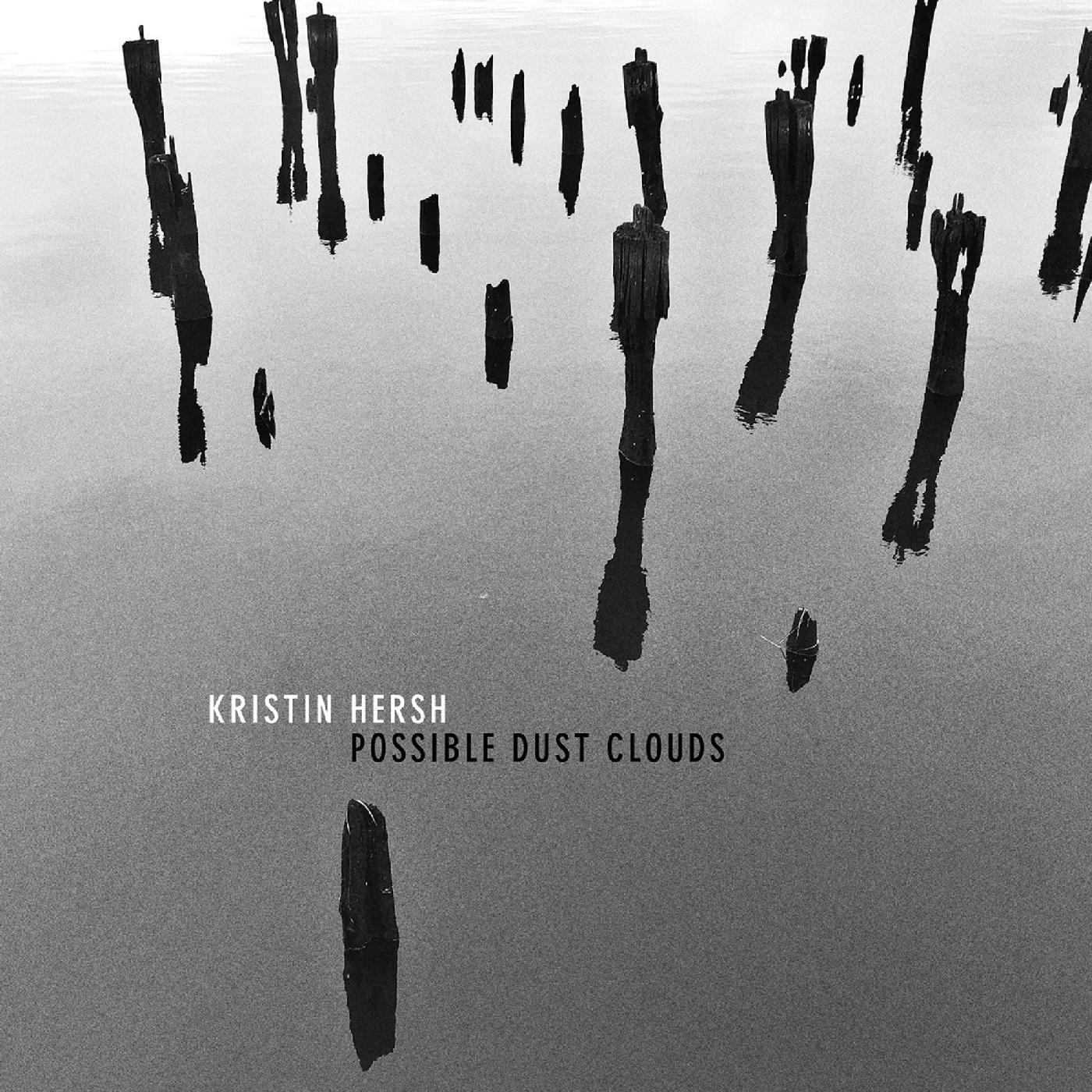 Possible Dust Clouds [Vinyl] - Paladin Vinyl