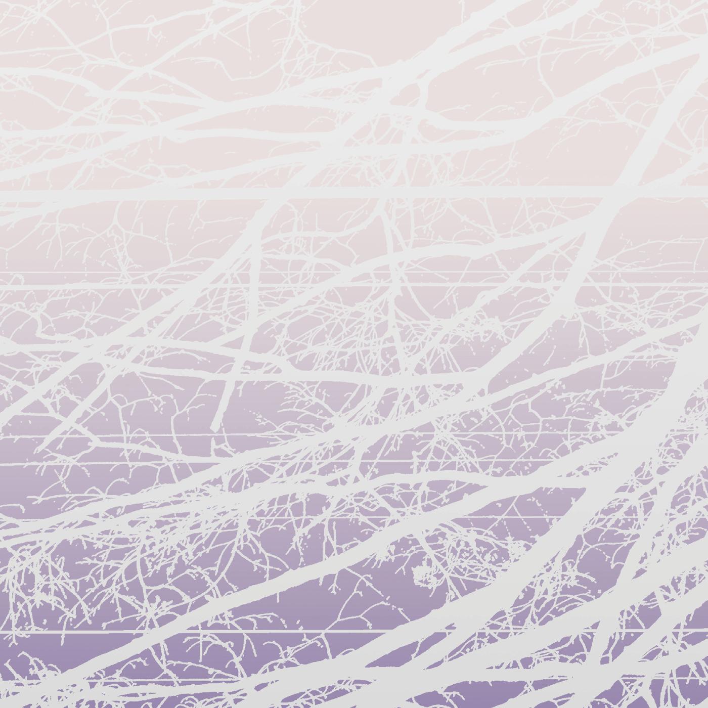 Metal Aether / Resonant Field [Vinyl] - Paladin Vinyl