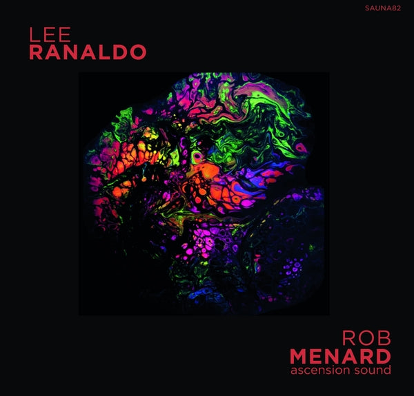 LEE RANALDO/ROB MENARD - Lee Ranaldo/Rob Menard Split Release [Cassette]