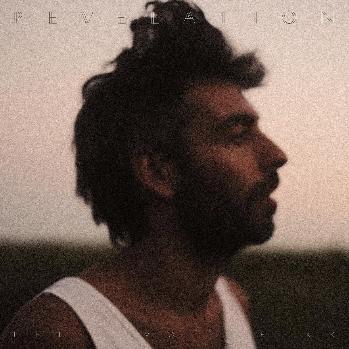 Leif Vollebekk - Revelation [CD]