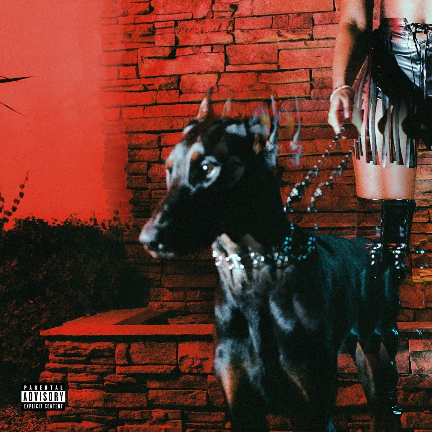 Mutt [CD]