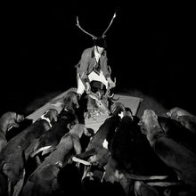 A Night Full Of Collapses [Vinyl]