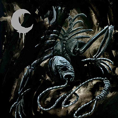 A Silhouette In Splinters [Vinyl]