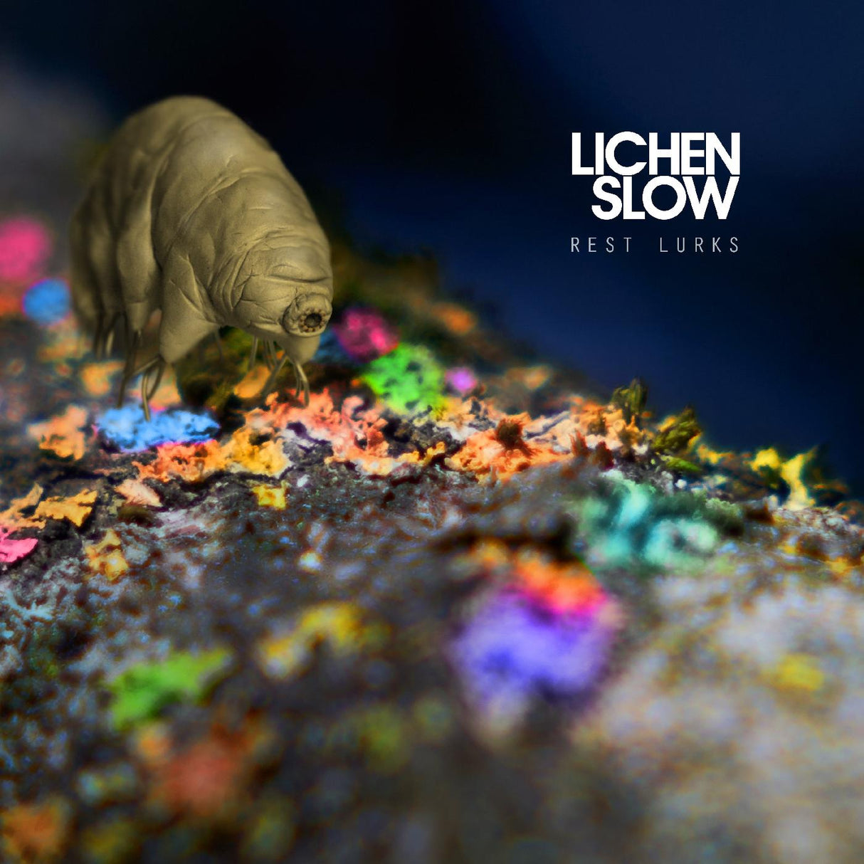 Lichen Slow - El descanso acecha [CD]