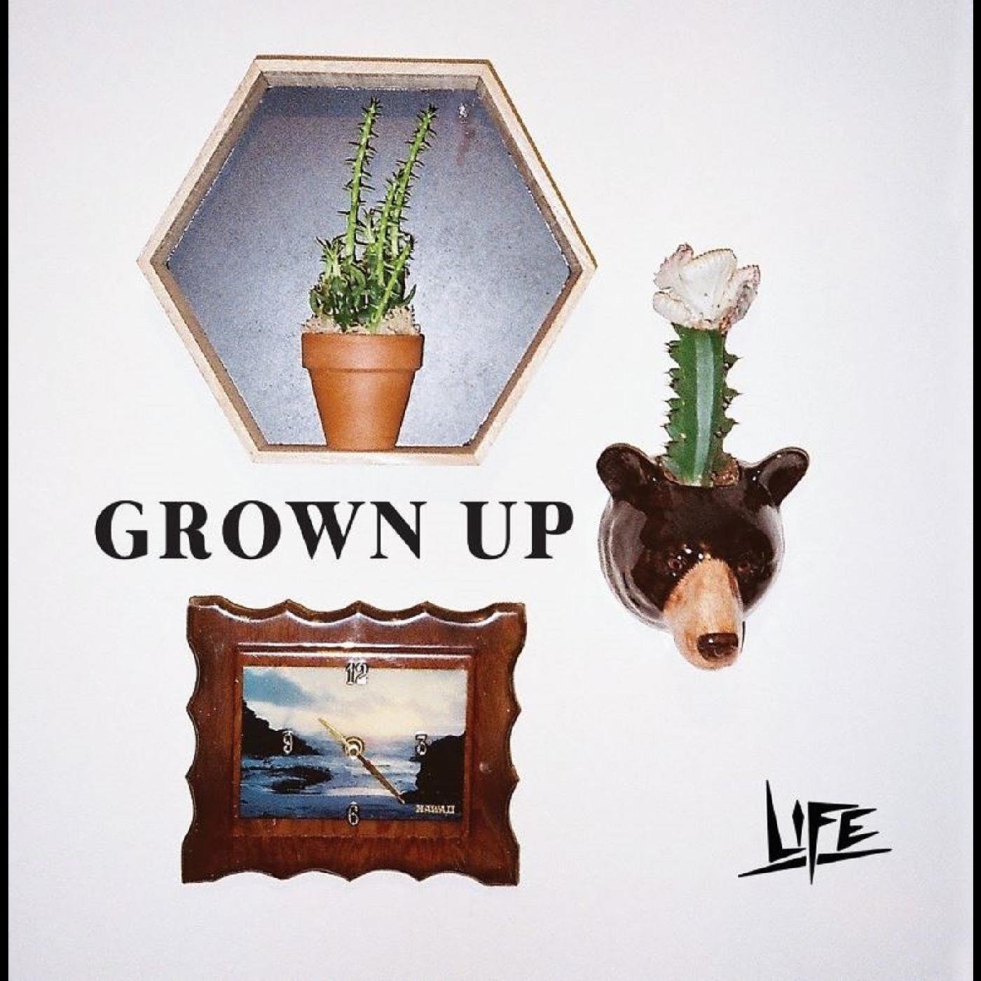 Grown Up [Vinyl]