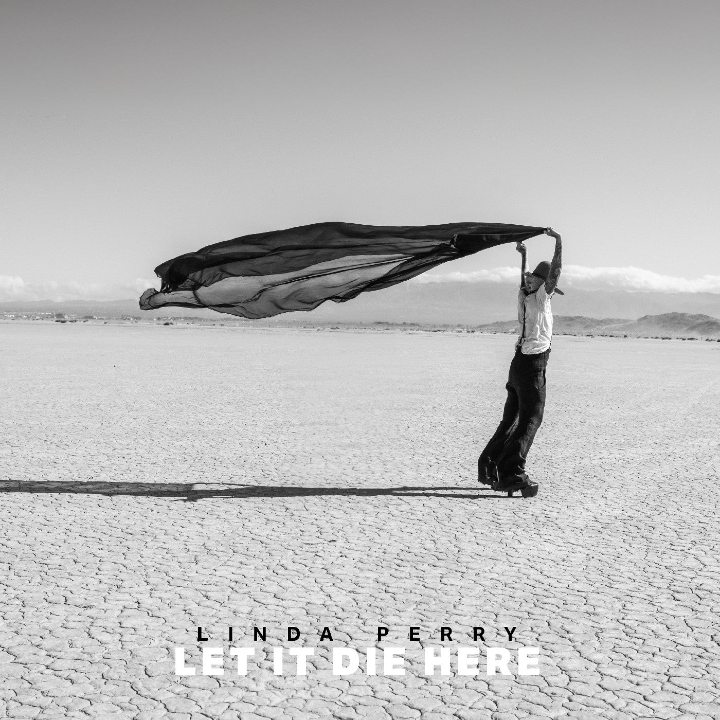 Let It Die Here [CD]