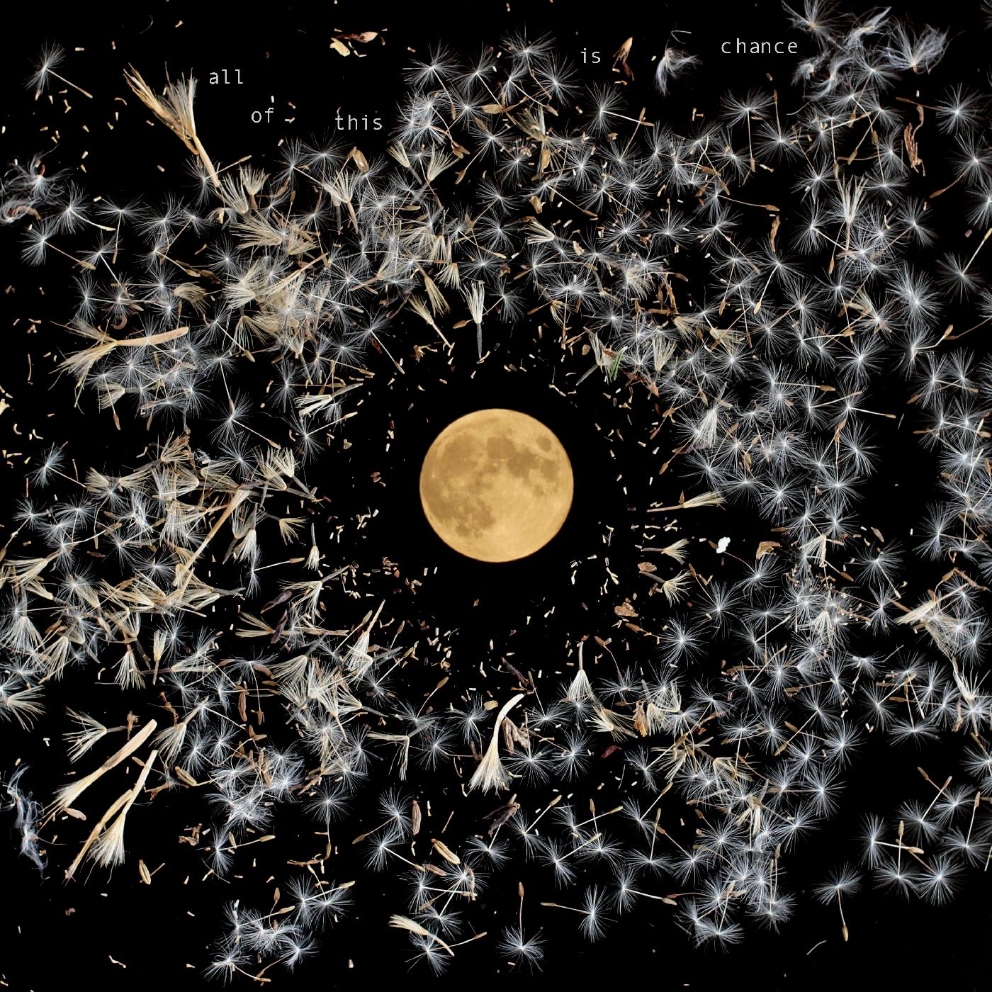 All Of This Is Chance [CD]
