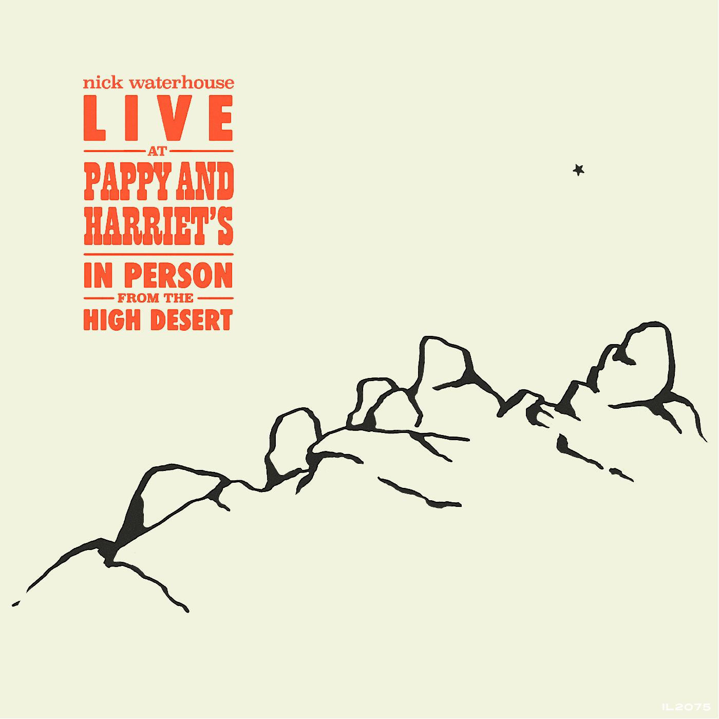 Live At Pappy & Harriet's: In Person From The High Desert [Vinyl]