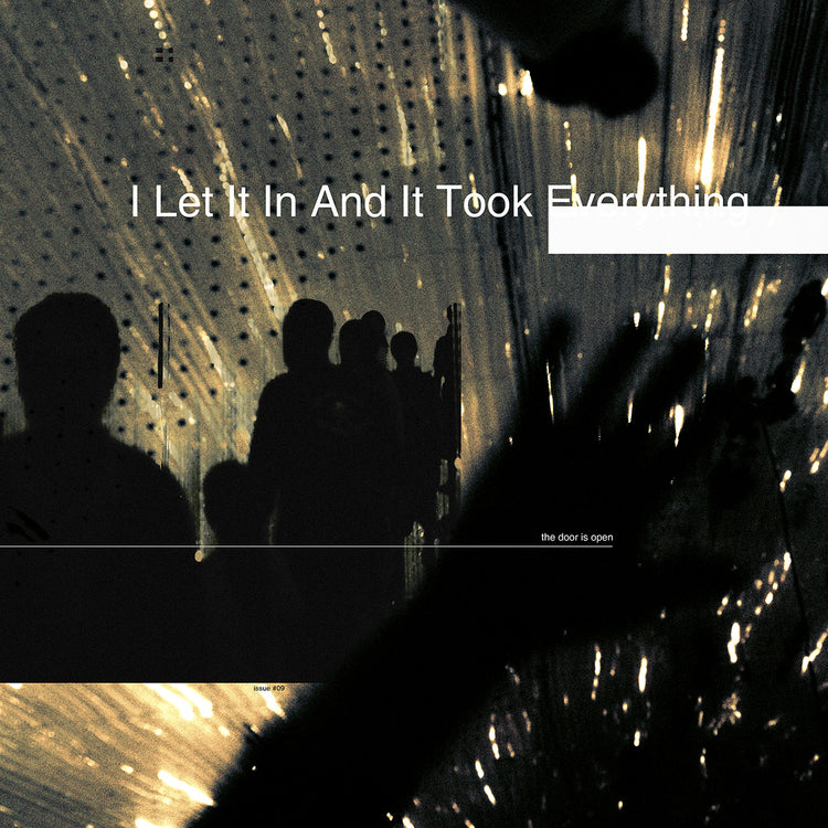 I Let It In And It Took Everything [Black Smoke] [2LP] [Vinyl]