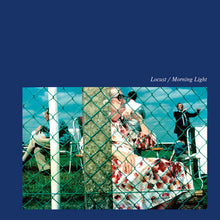 Morning Light [Vinyl]