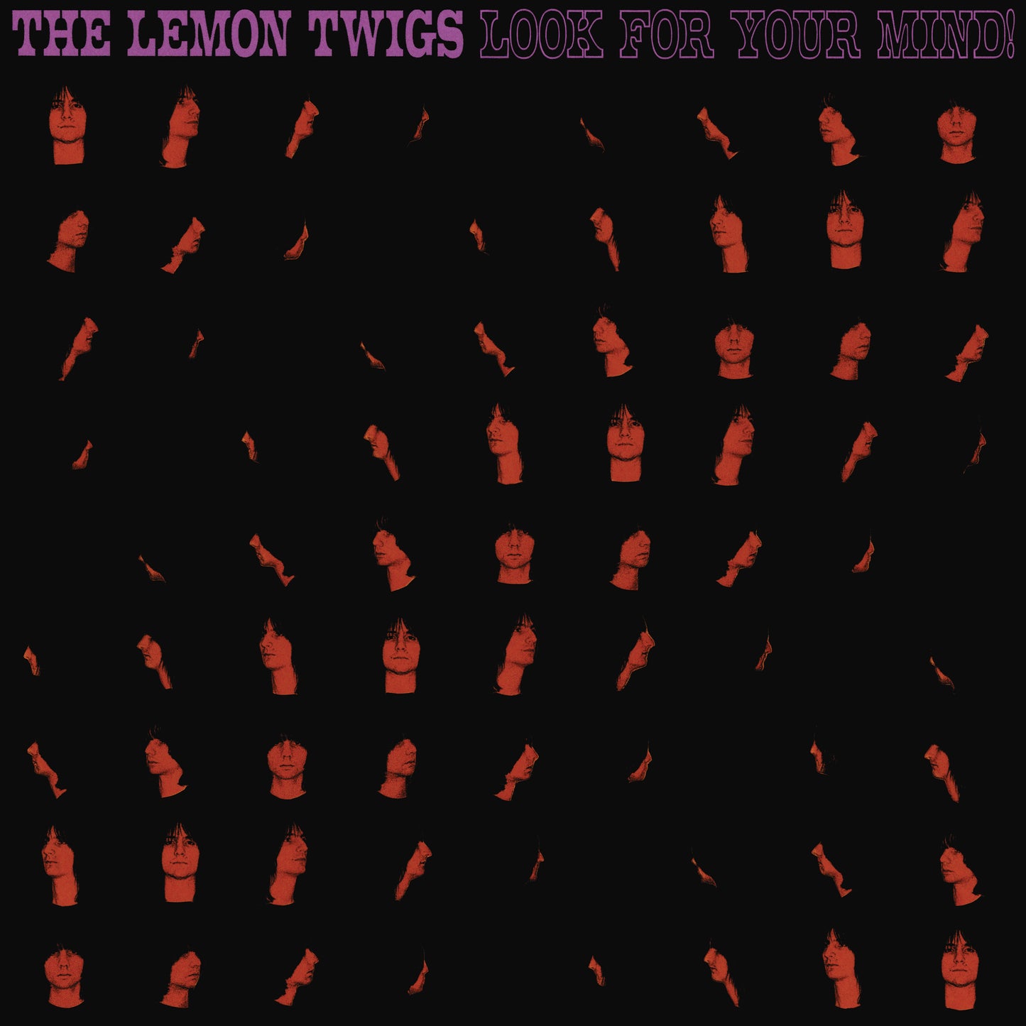 Look For Your Mind! (Transparent Day) [Vinyl]