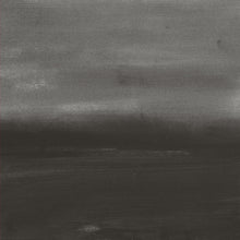 LOREN CONNORS & DAVID GRUBBS - Evening Air [Vinyl]