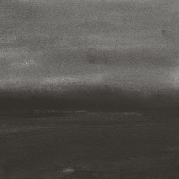 LOREN CONNORS & DAVID GRUBBS - Evening Air [Vinyl]