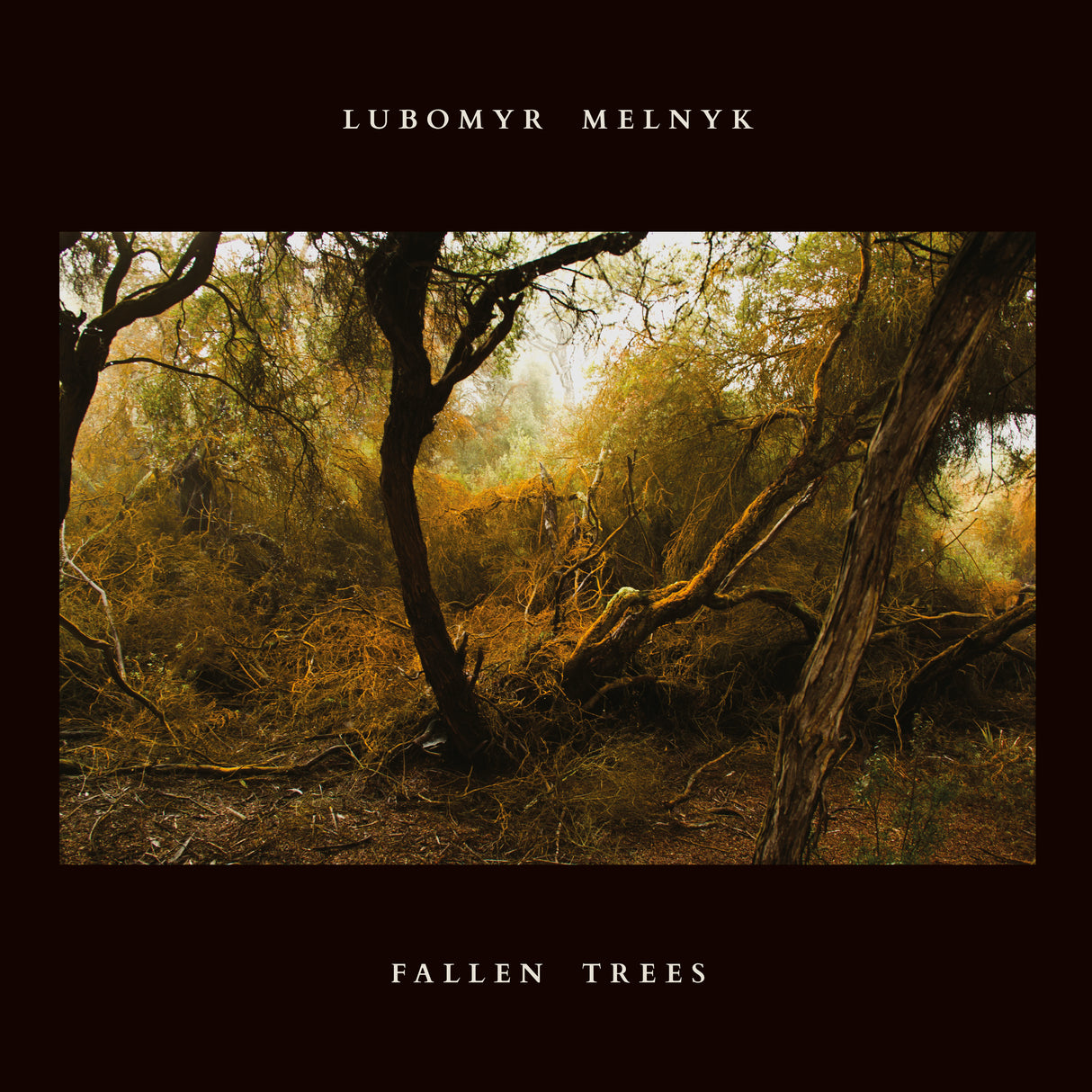 Lubomyr Melnyk - Árboles caídos [CD]