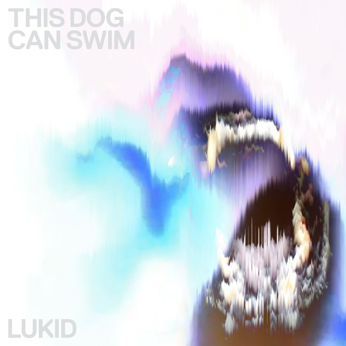 Lukid - This Dog Can Swim 12" [Vinyl] - Paladin Vinyl
