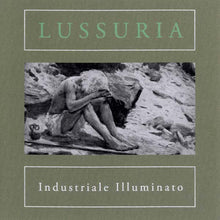 Industriale Illuminato [CD]