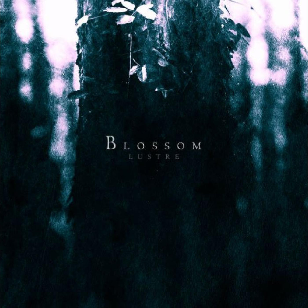 Lustre - Blossom [CD]