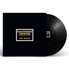 Joe Black [Vinyl]