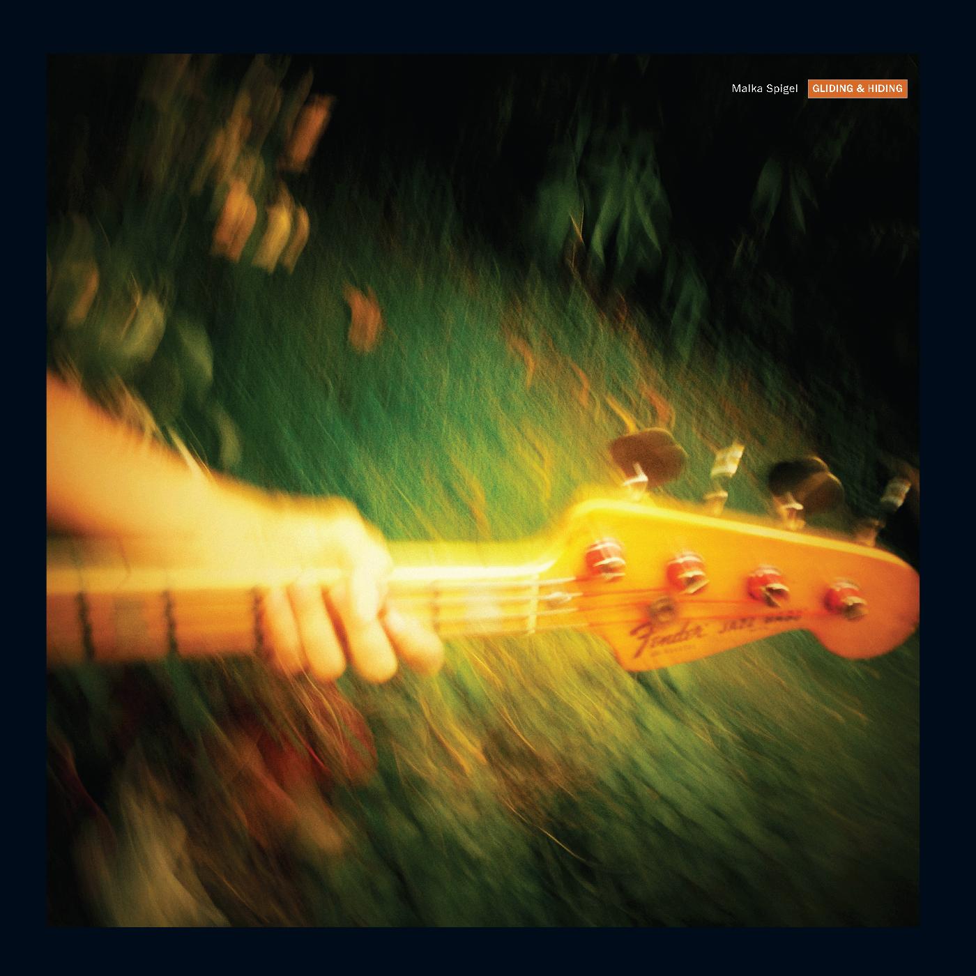 Gliding & Hiding [Vinyl]