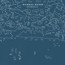 Animalia [CD]