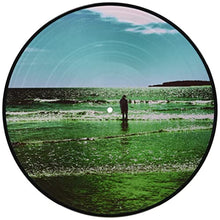 Ultra Vivid Lament (Picture Disc Vinyl) [Import] [Vinyl]