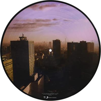 Ultra Vivid Lament (Picture Disc Vinyl) [Import] [Vinyl]