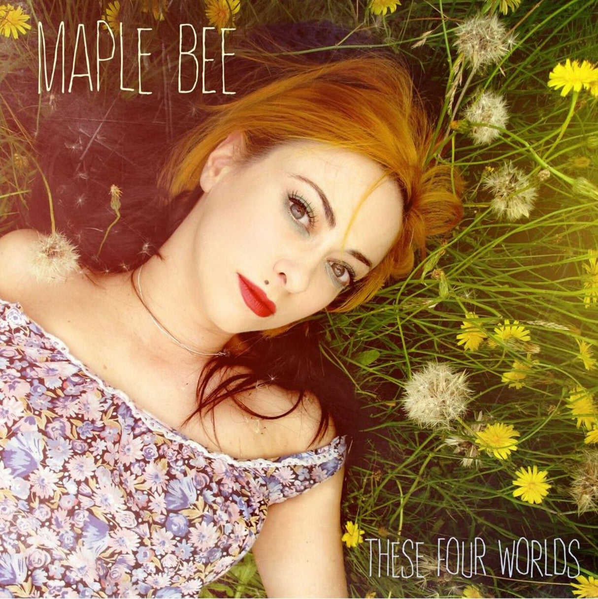 Maple Bee - These Four Worlds [CD]