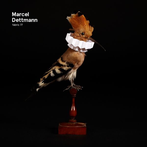 Marcel Dettmann - Fabric 77 : [CD]