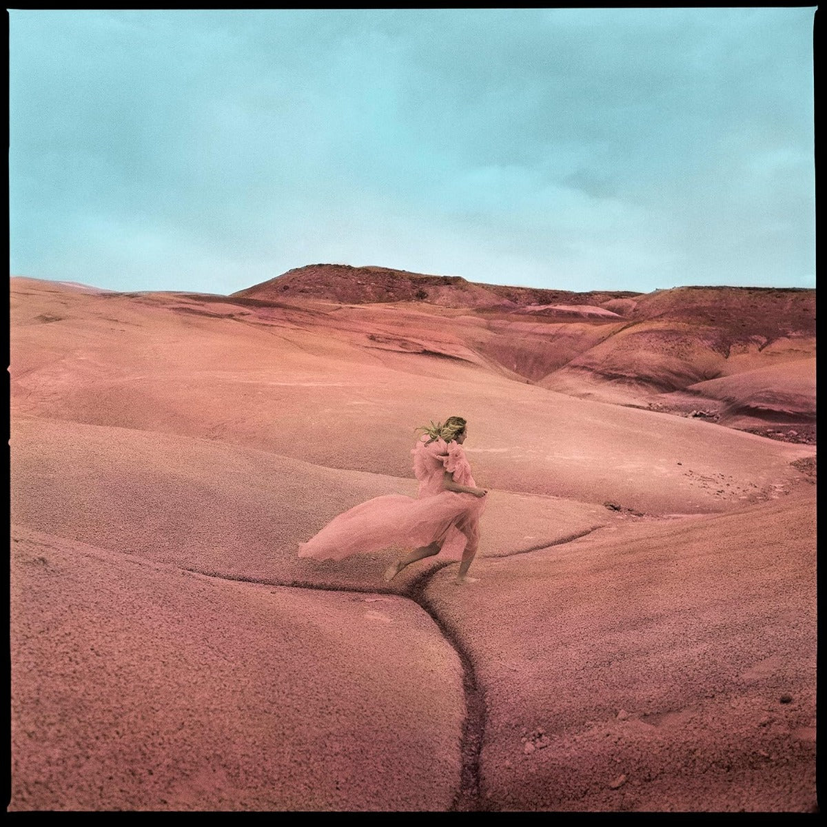 Strays (Limited Edition, Purple Swirl Colored Vinyl, Bonus Flexi-7" Single) [Vinyl]