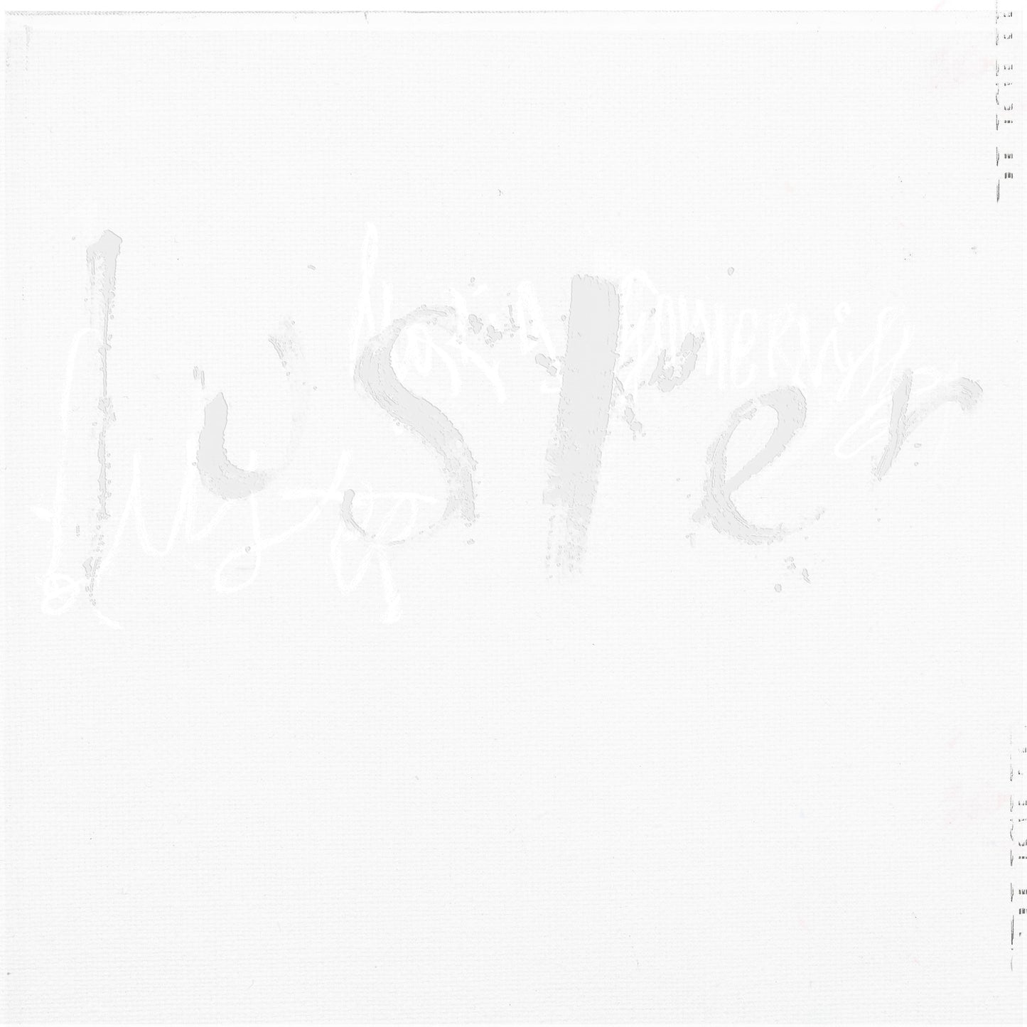 Luster [CD]