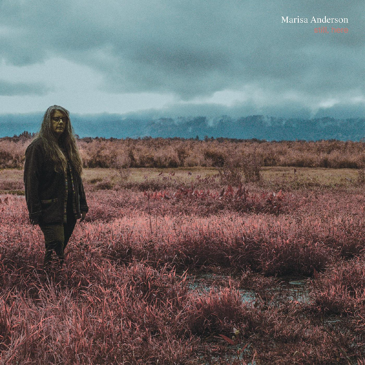 Marisa Anderson - Still, Here [Vinyl]